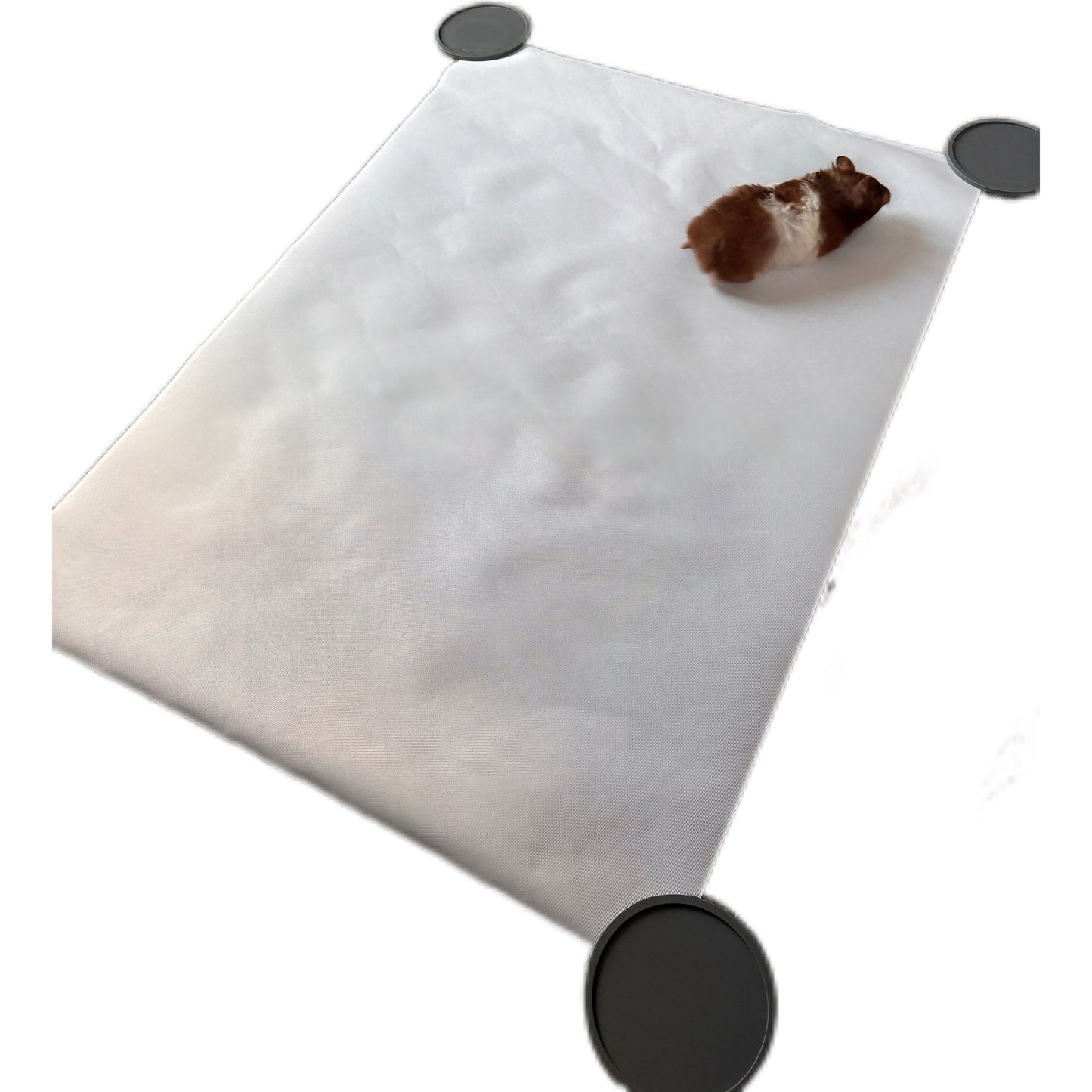 Hayds Jumbo Poster